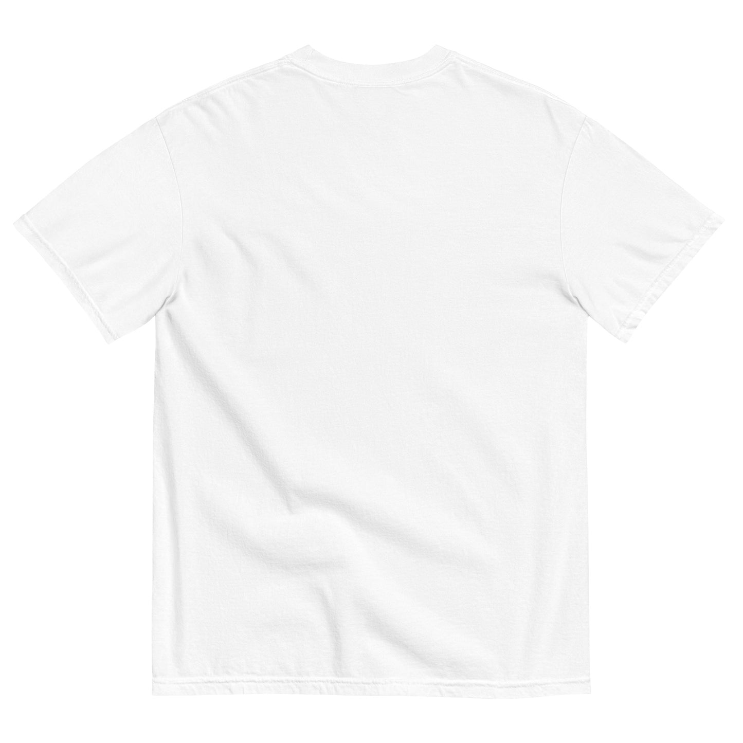 Red Flag Colorblind Tee